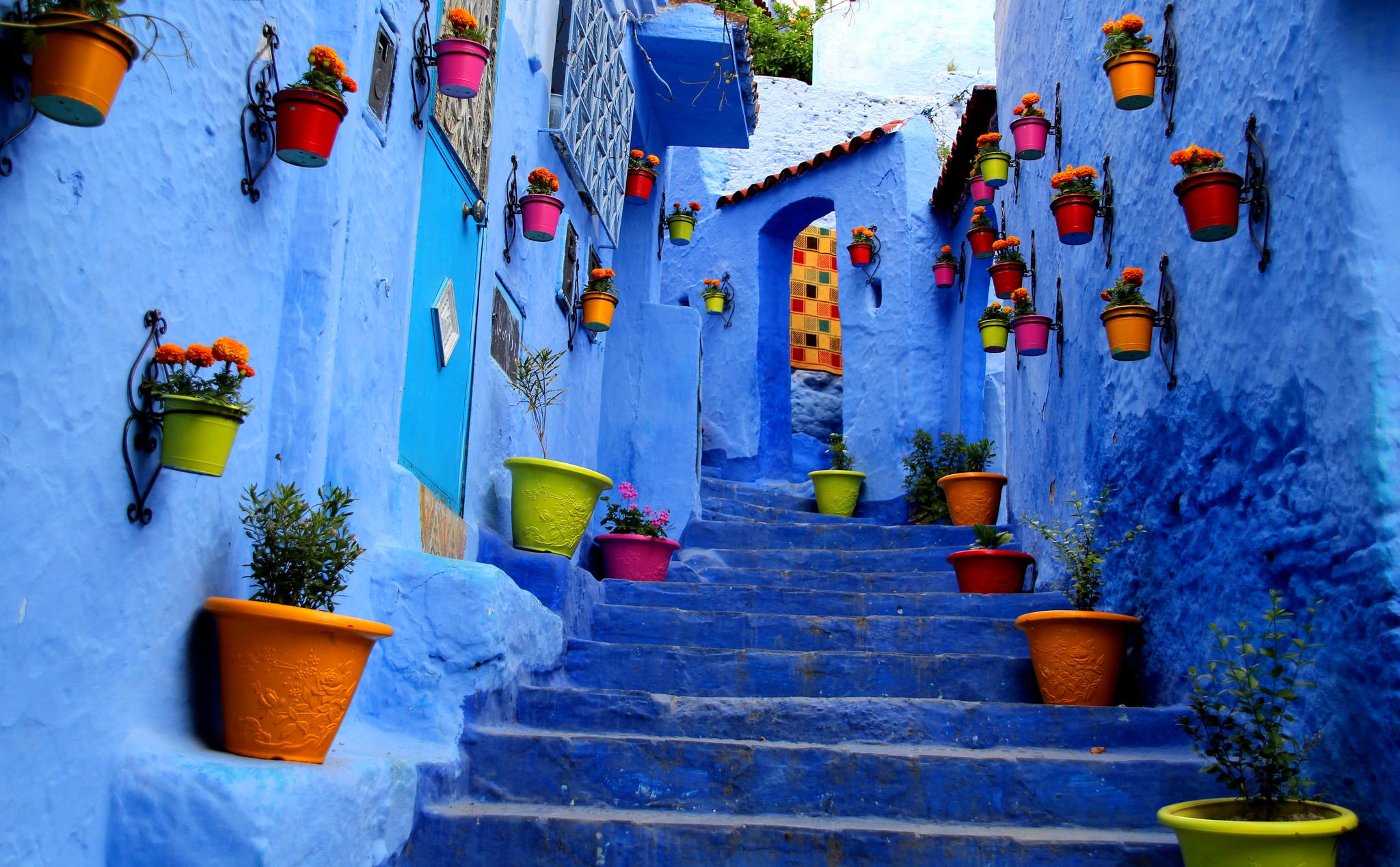 flowers-city-stairs-blue-photography-1080P-wallpaper.jpg