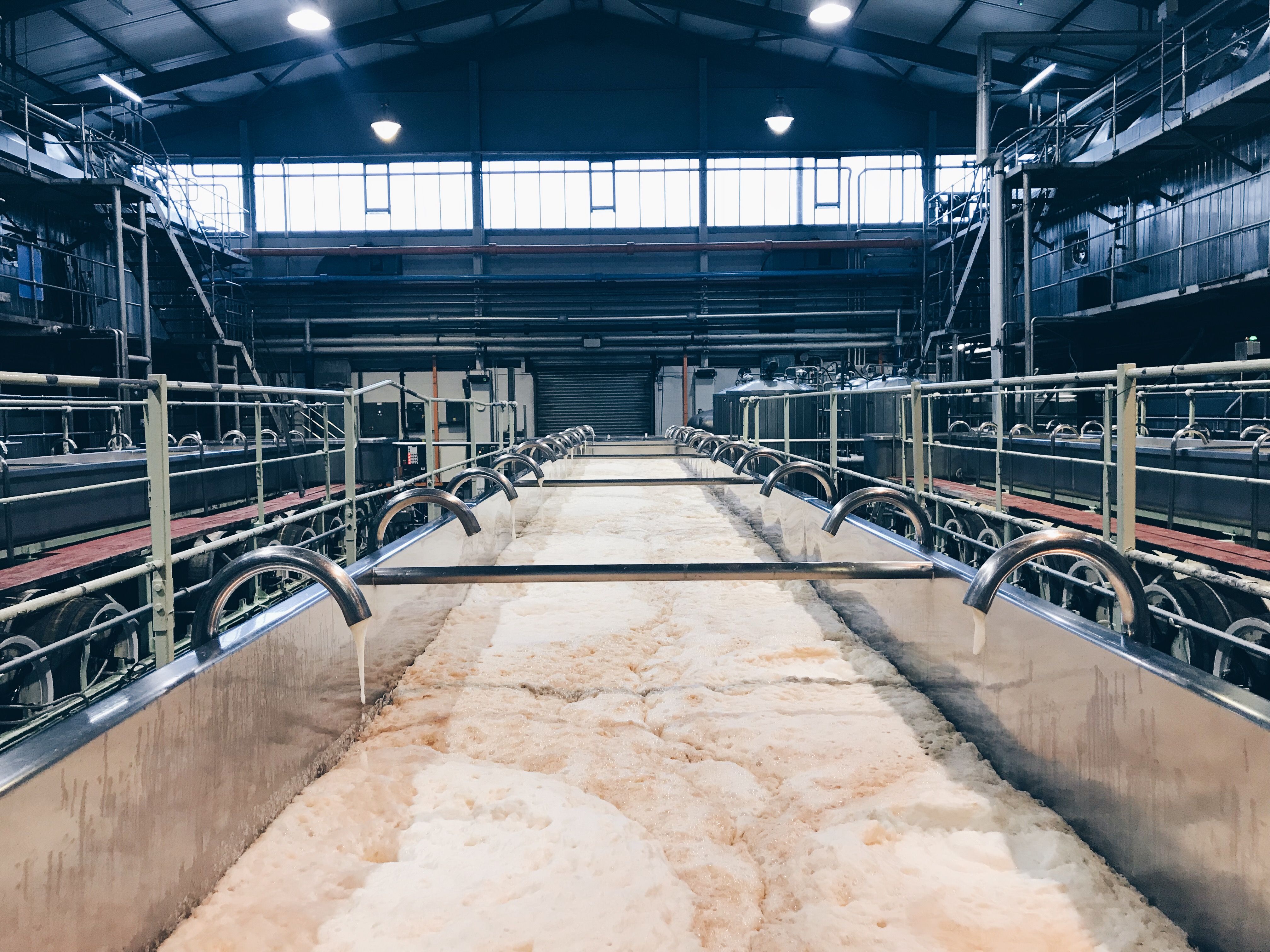 straight-yeast-trof