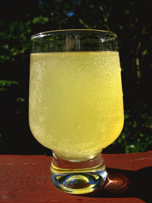 ginger beer.jpg