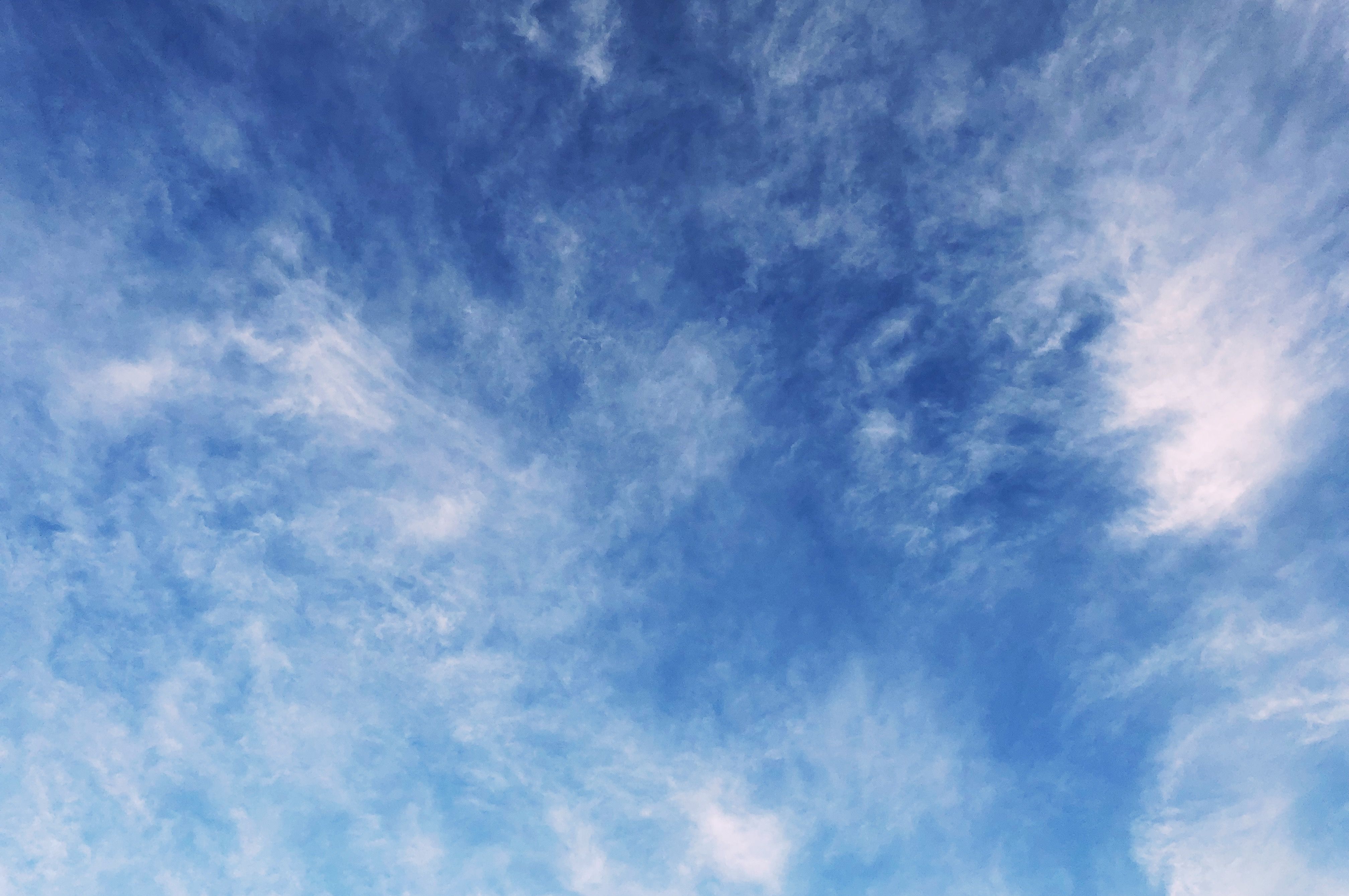 913B9C69-76A6-45C8-98BC-7741A2C3728E.jpeg