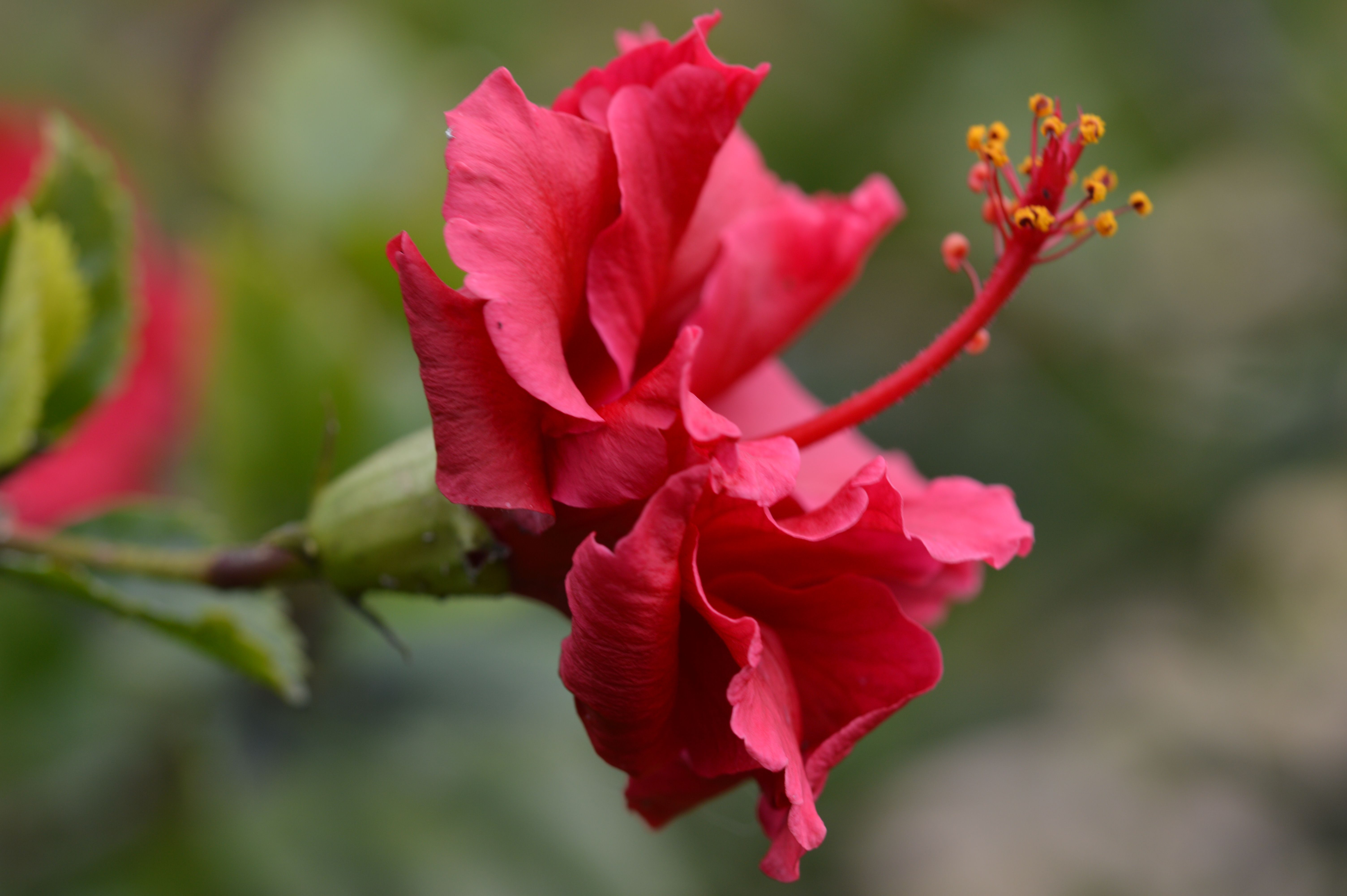 DSC_0084.JPG