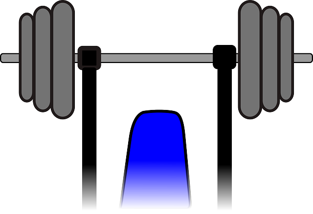 weights-179520_640.png