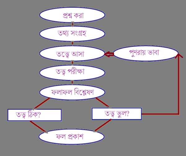 biggan-600x503 (1).png