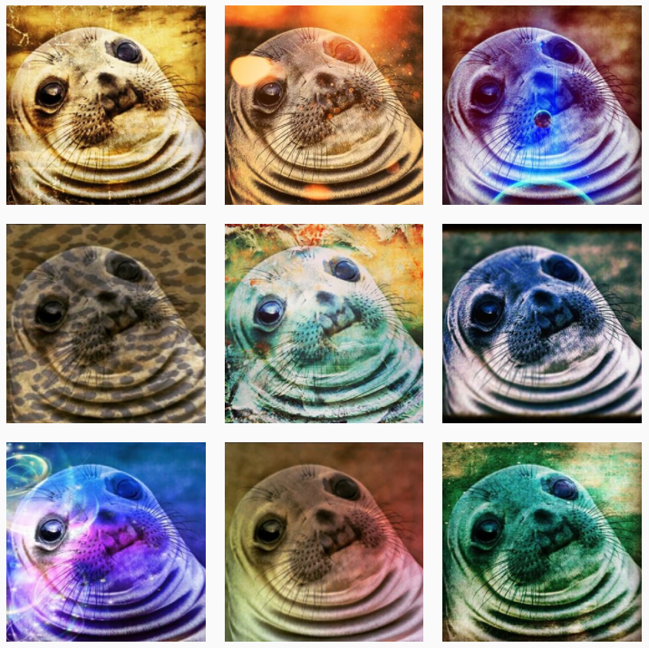 mr seal.PNG