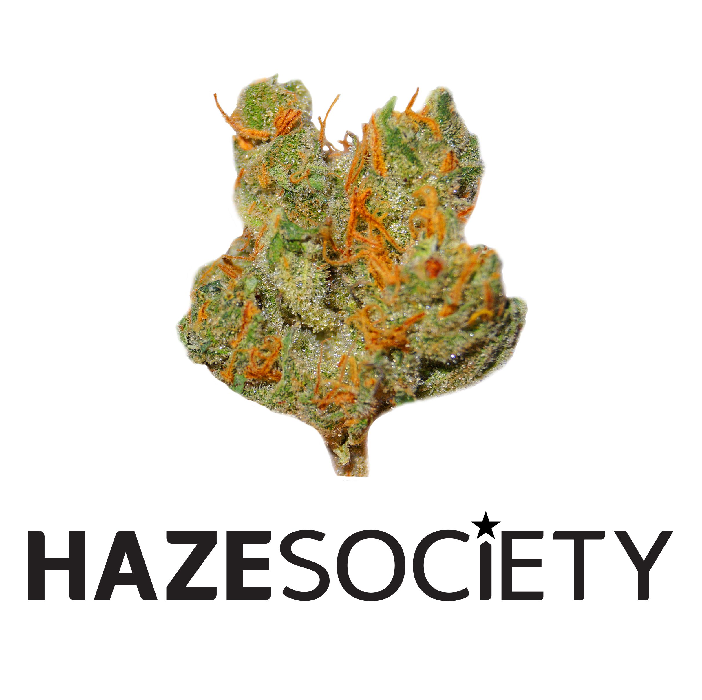 Hazesociety Logo.jpg