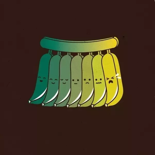 20182703_304214920043469_212757988_n.png
