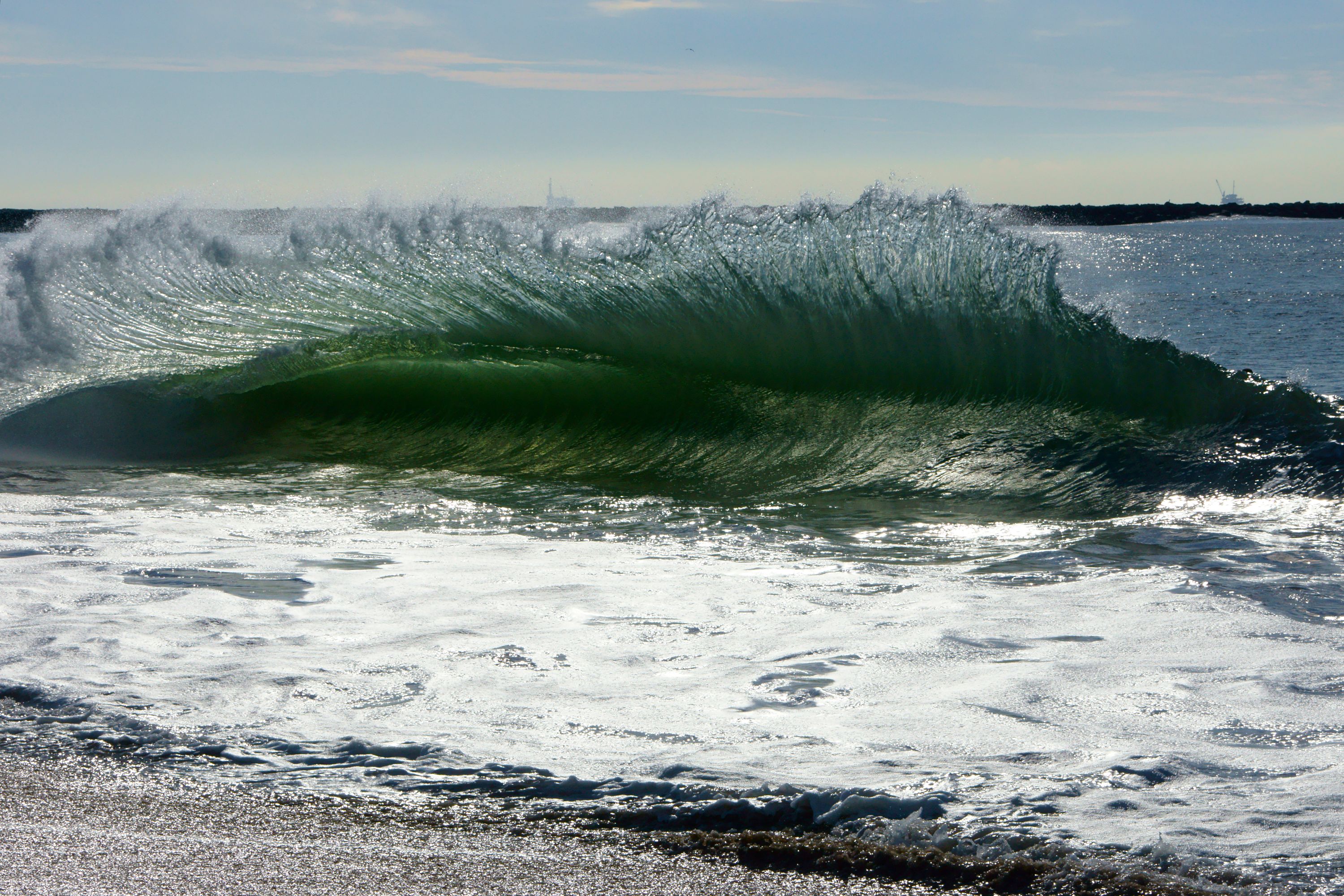 _DSC9892.JPG
