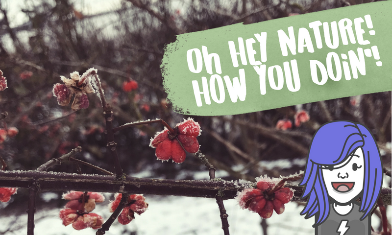 Copy of Copy of steemit covers (15).png