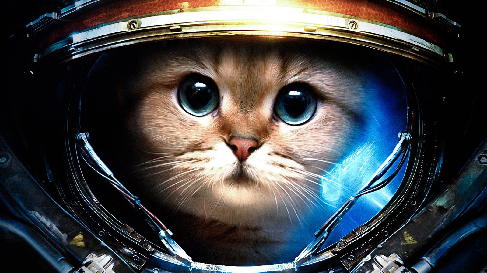 cat-astronaut.jpg