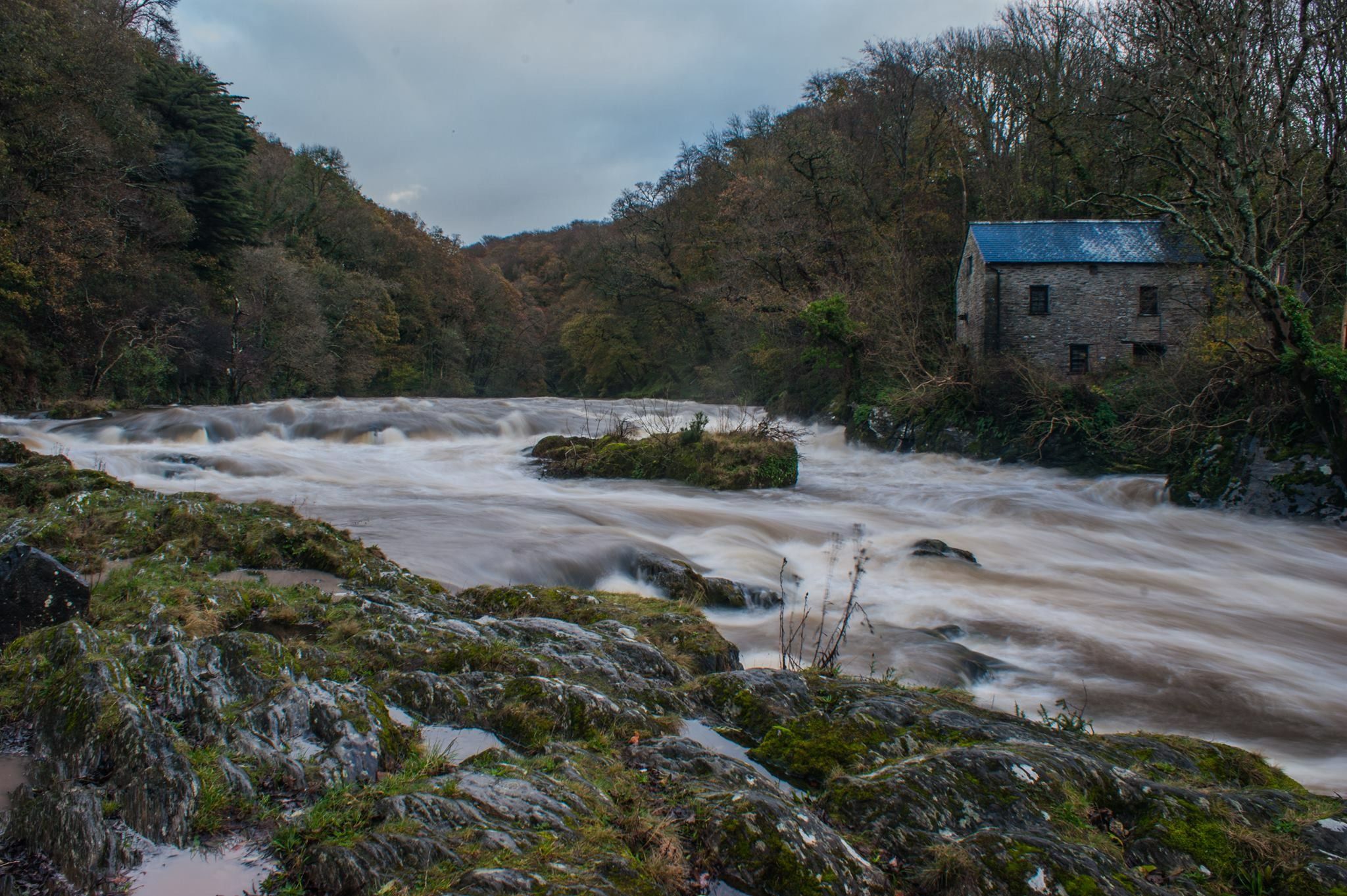 Cenarth Falls by Steve J Huggett.JPG