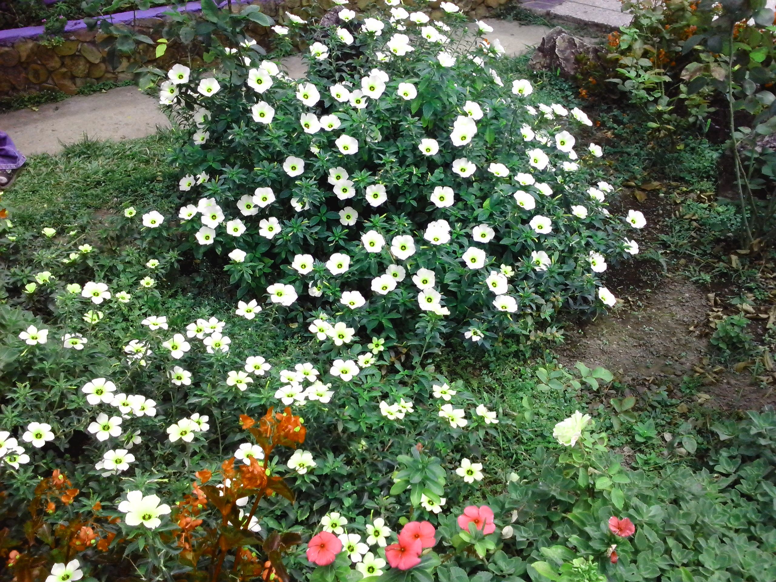 IMG_20140410_102106.jpg