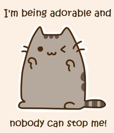 9b972b900ce2a671020a97b5a3831d47--kawaii-pusheen-kawaii-cat.jpg