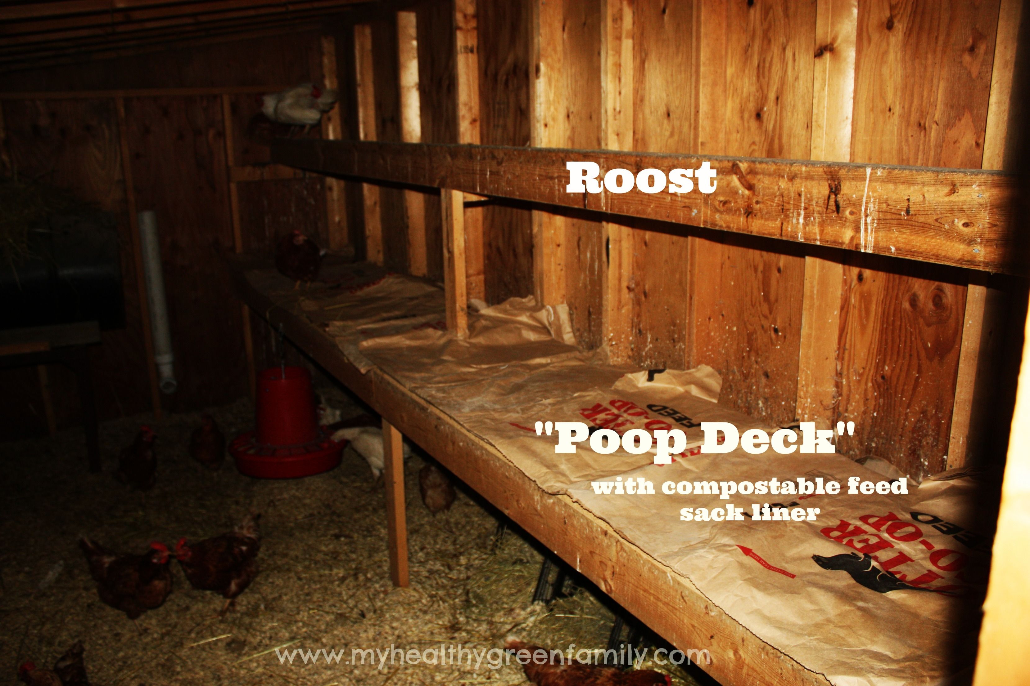 Chicken-Coop-Poop-Deck.jpg
