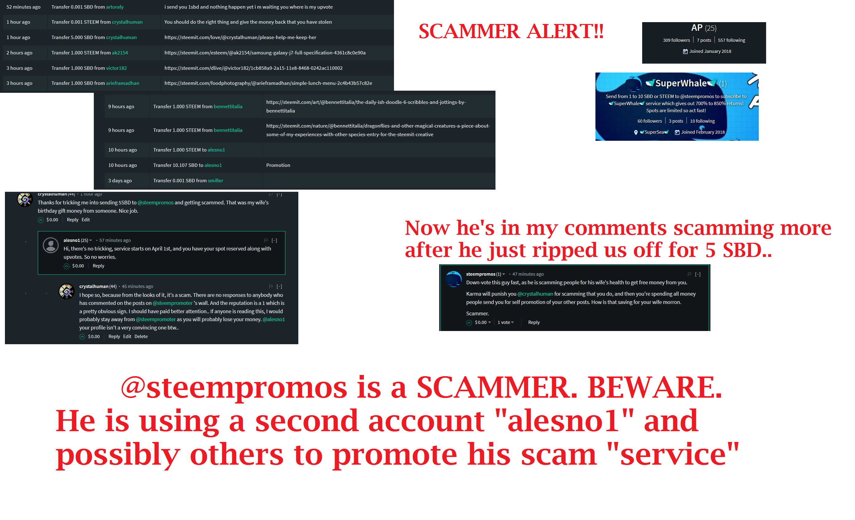 SCAMMERS.png