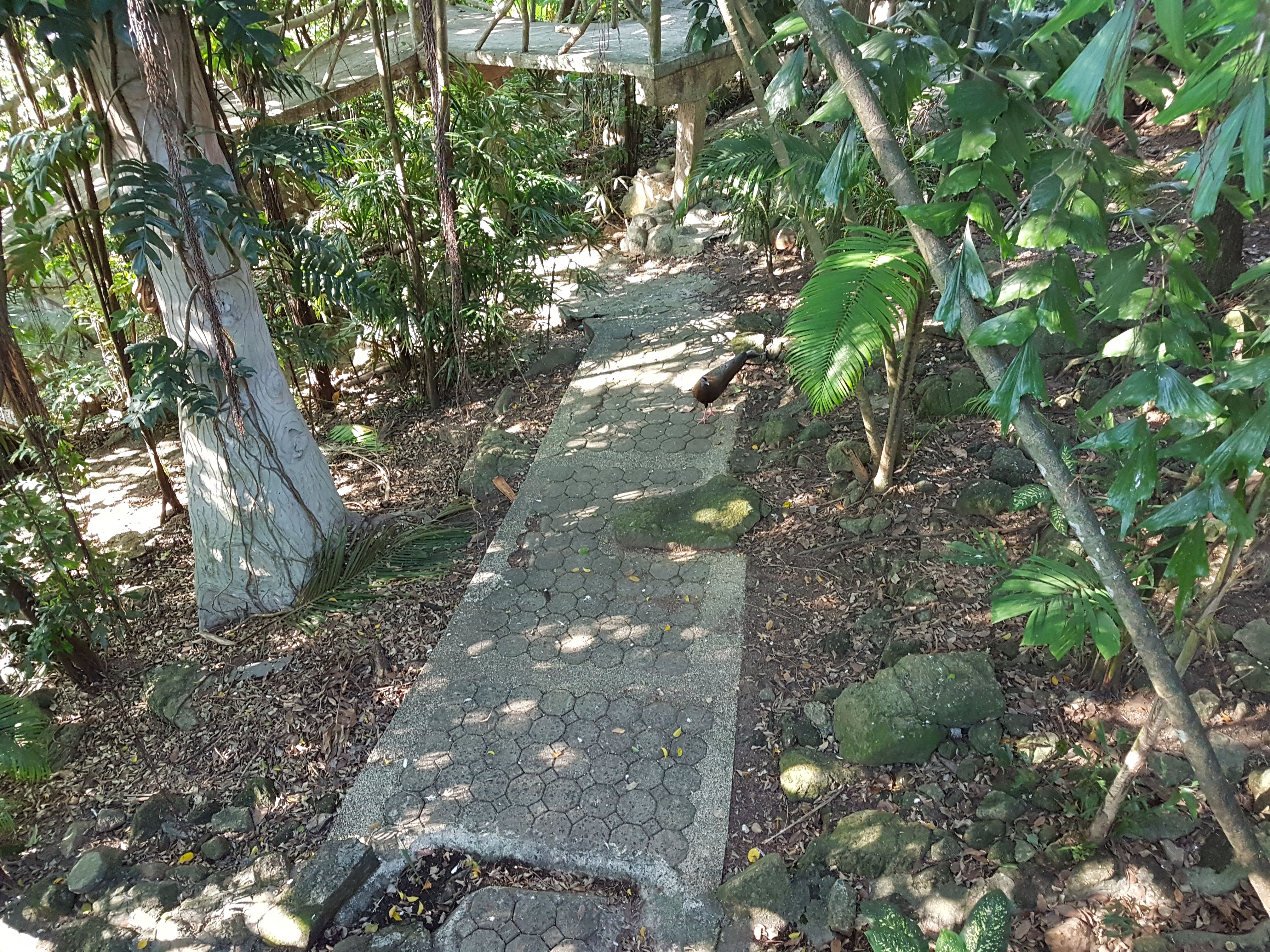 20180504_161959.jpg