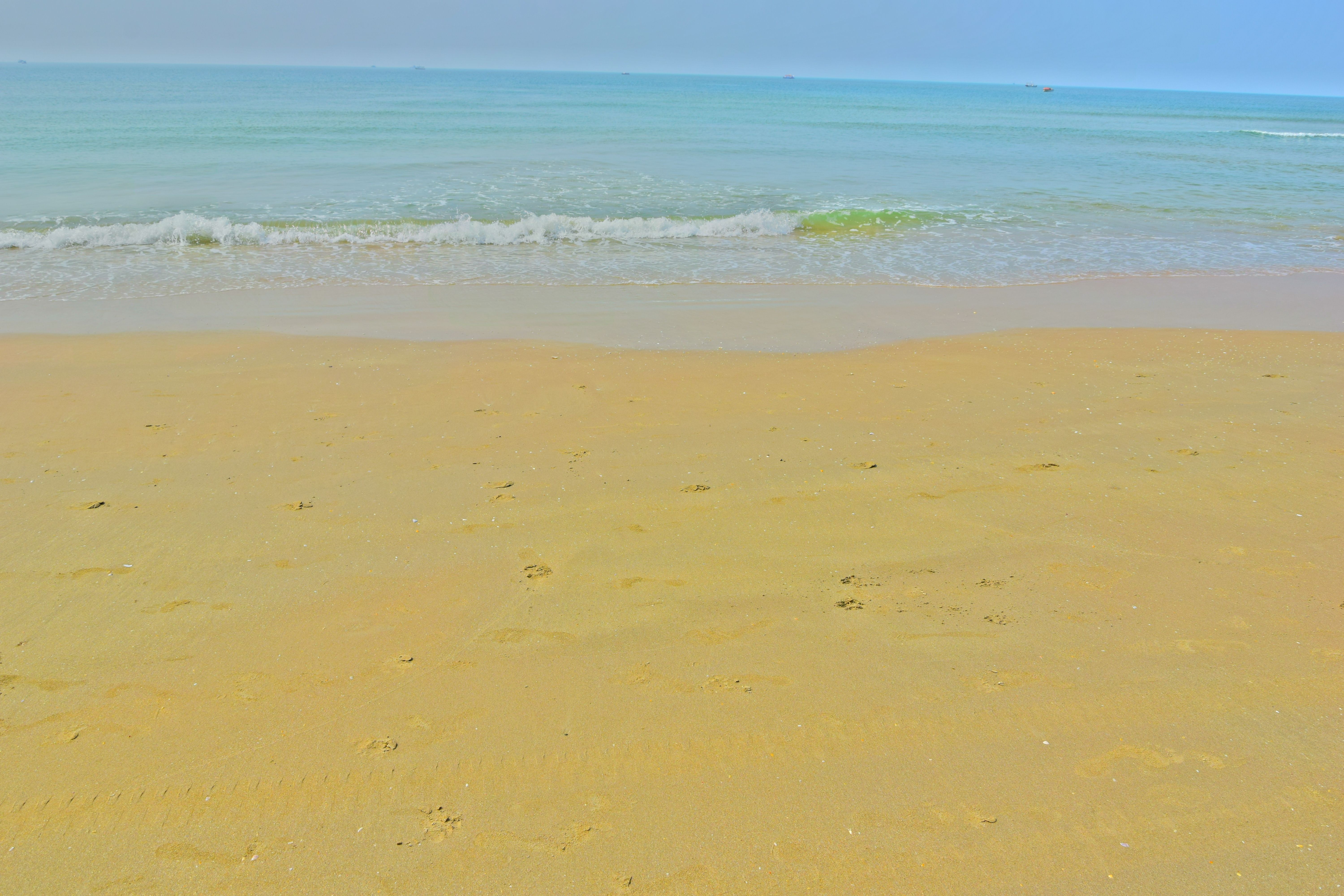 DSC_0538.JPG