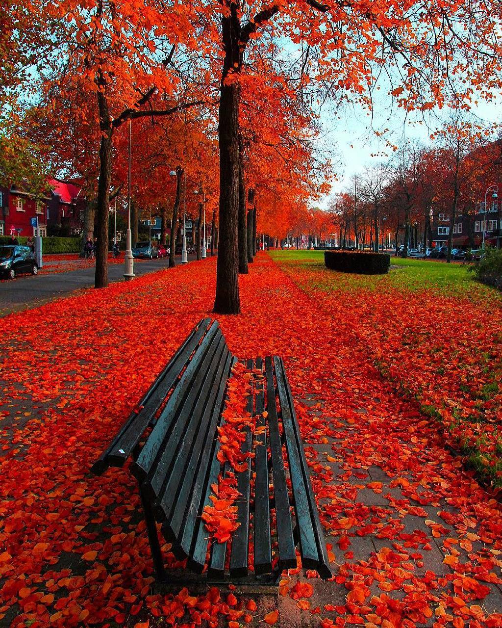 Amsterdam, Netherlands.jpg