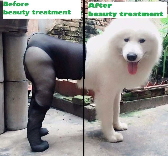 before-after.jpg