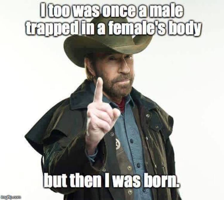 Male trapped in a females body.jpg