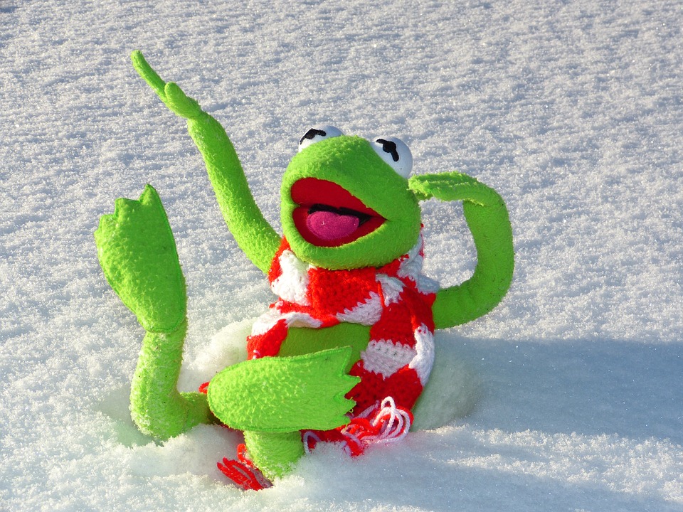 kermit-70116_960_720.jpg