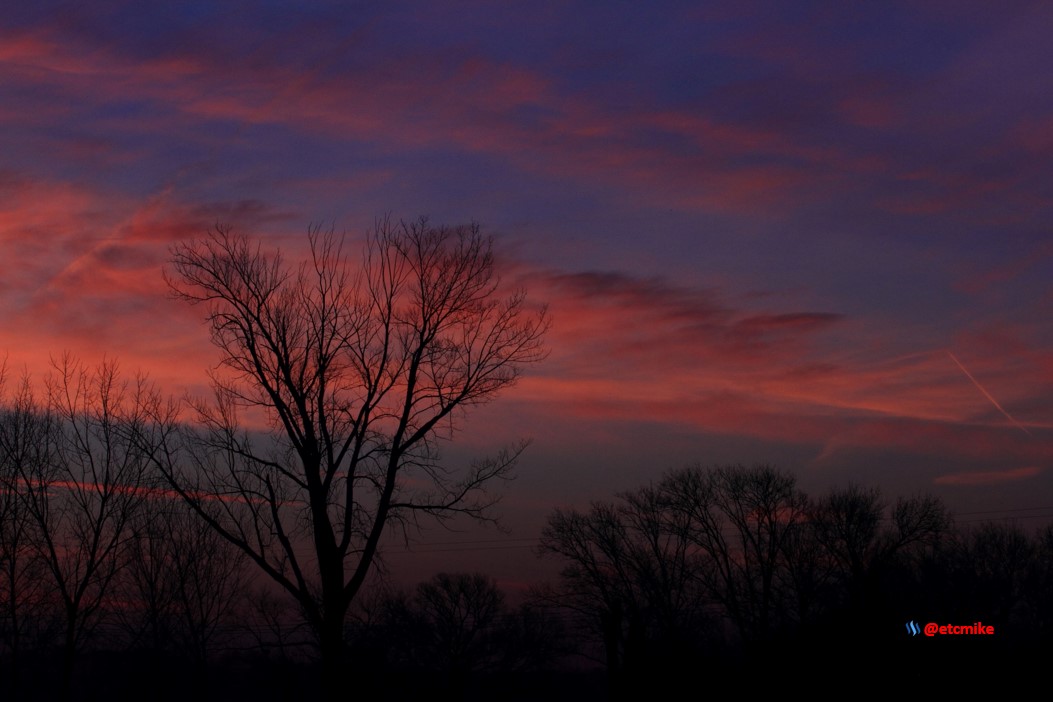pink sunrise dawn SR15-20.JPG