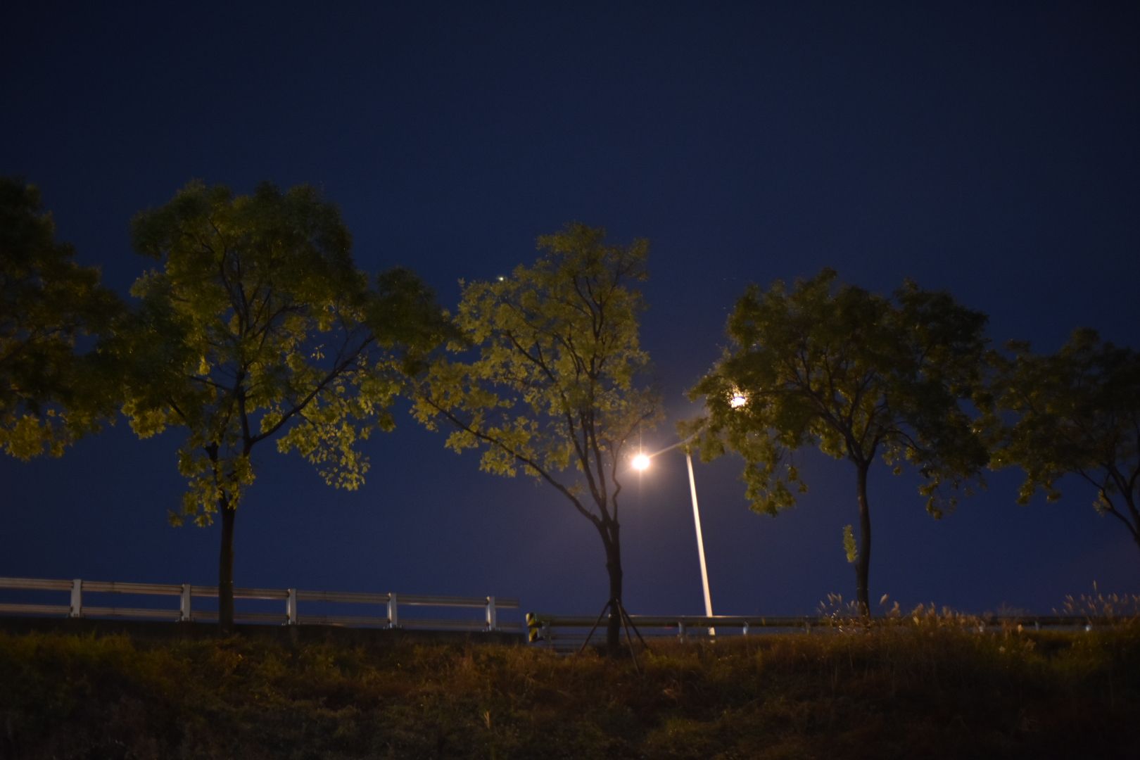 DSC_0964.JPG