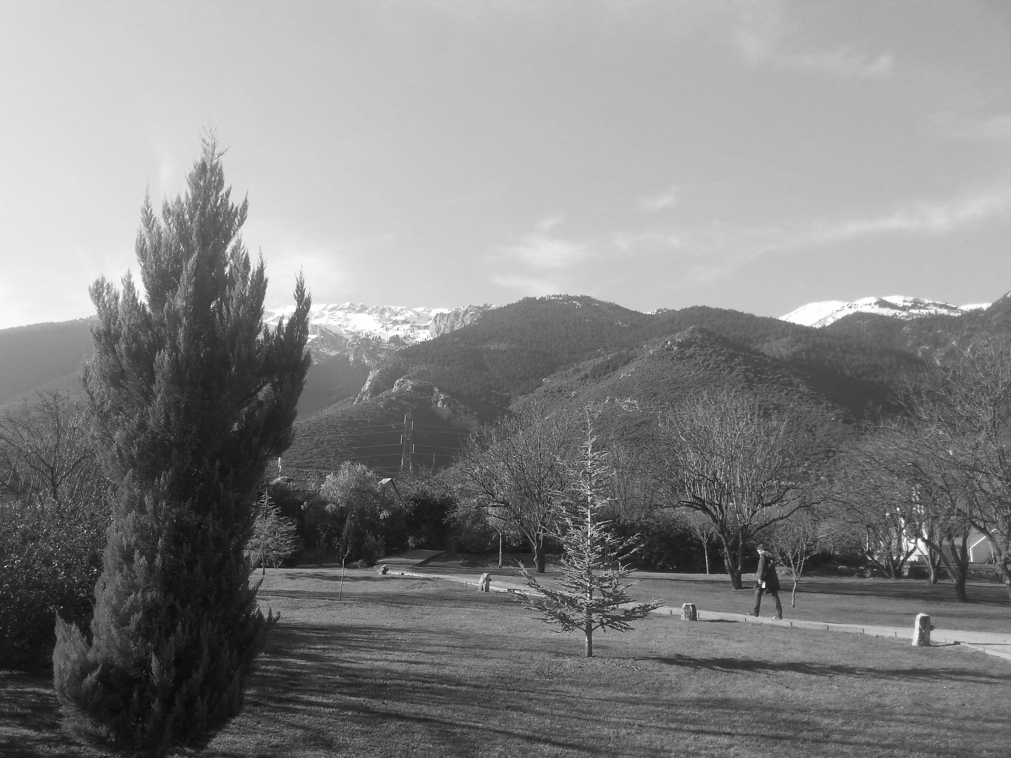 20171227_135812.jpg