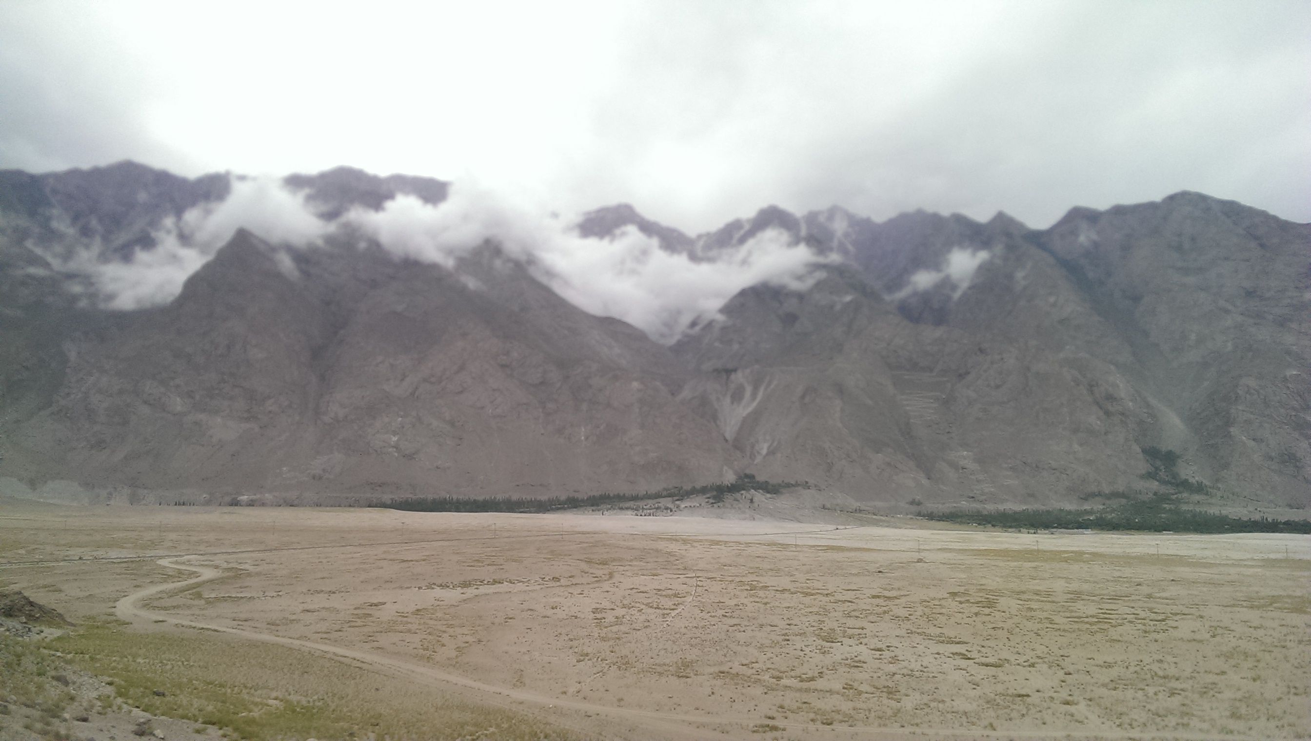 IMAG0136.jpg