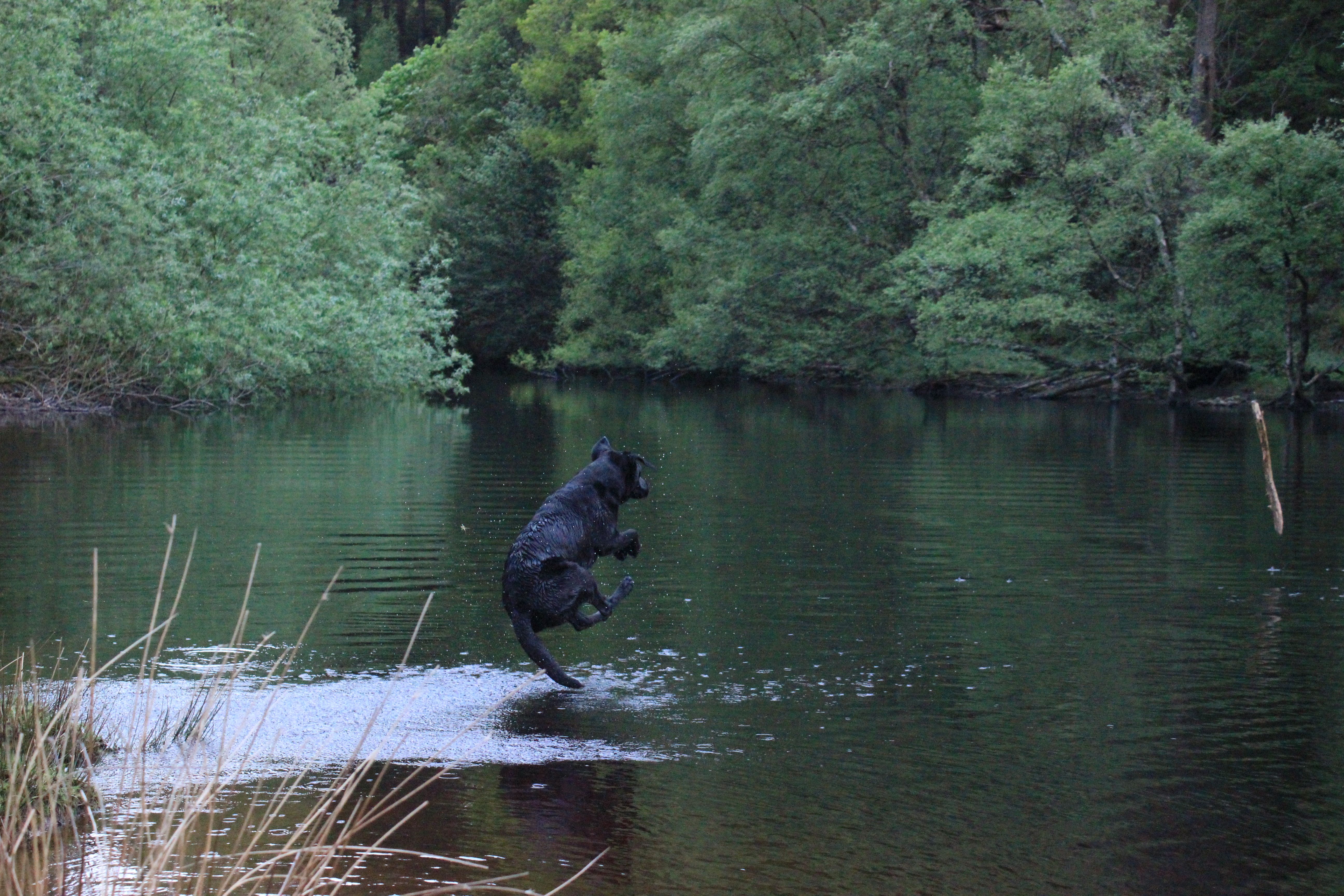 Howden dam 24th may 15 226.JPG