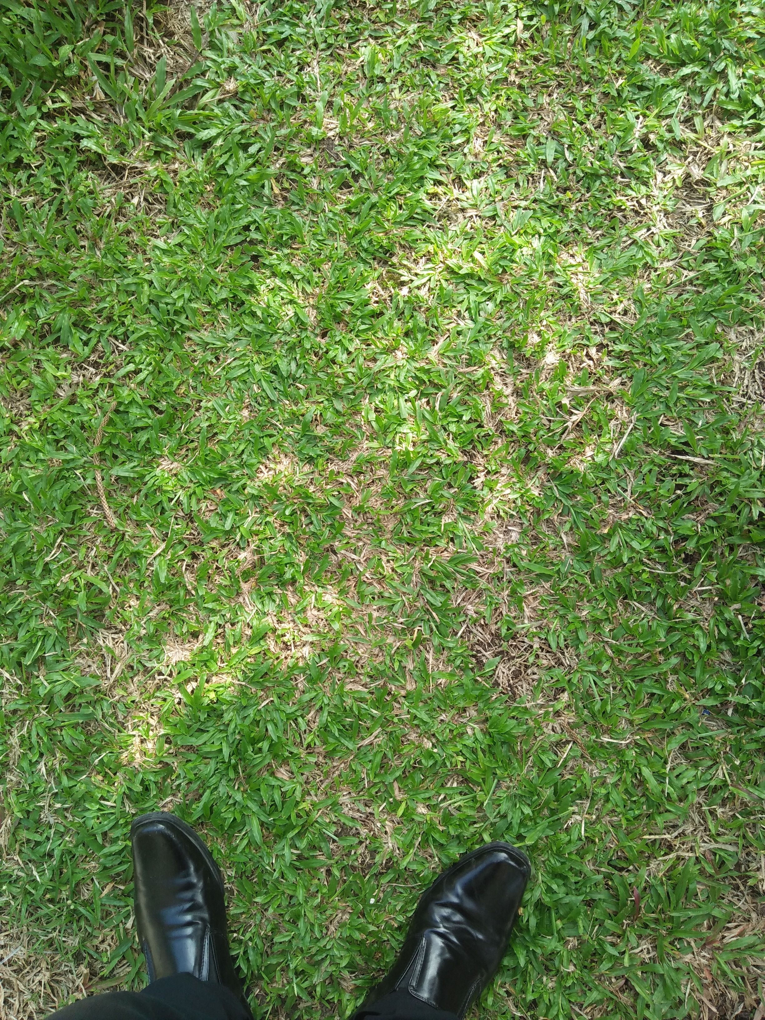 IMG20180131102729.jpg