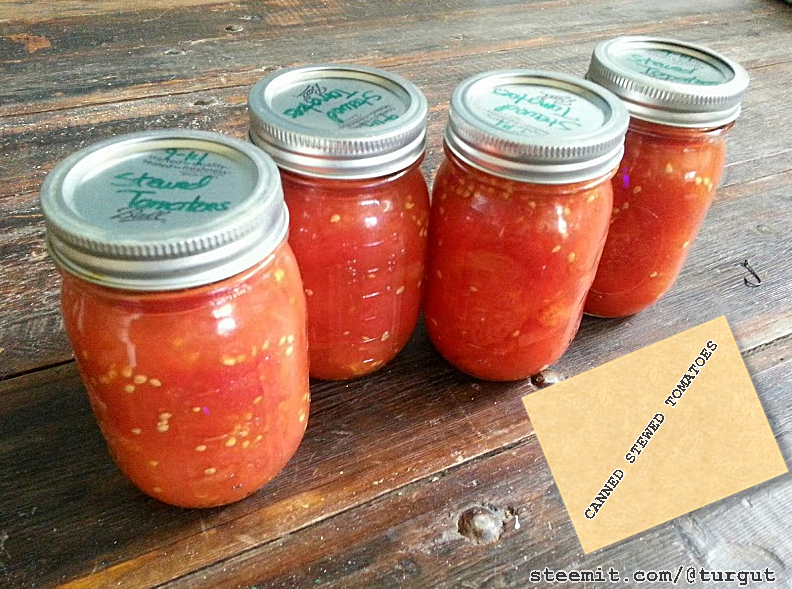 CANNED STEWED TOMATOES.png