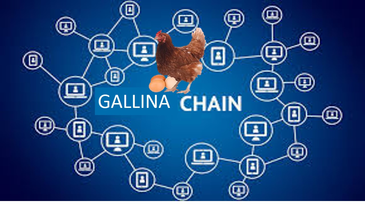 Gallina chain.jpg