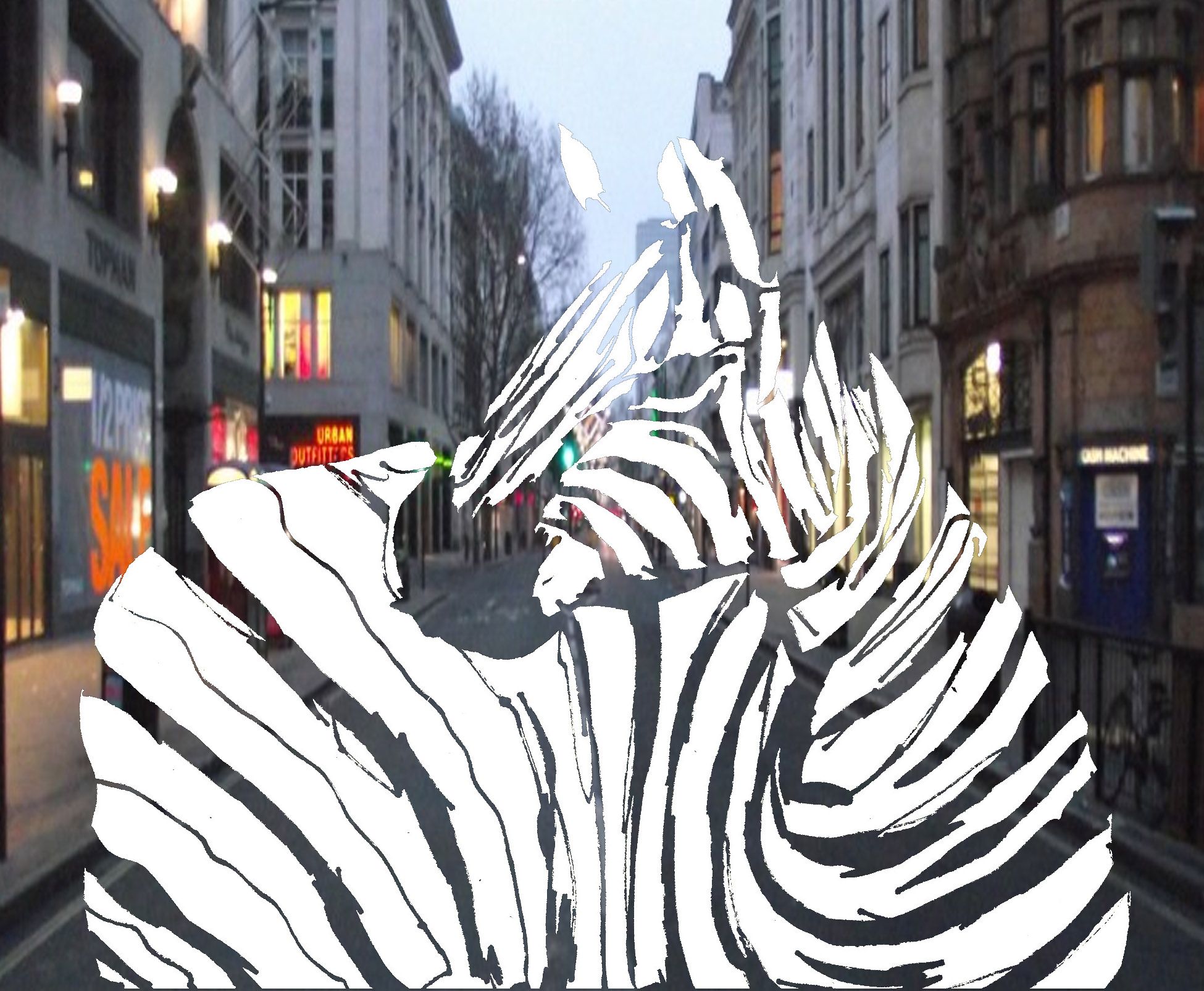 Zebra 003.jpg