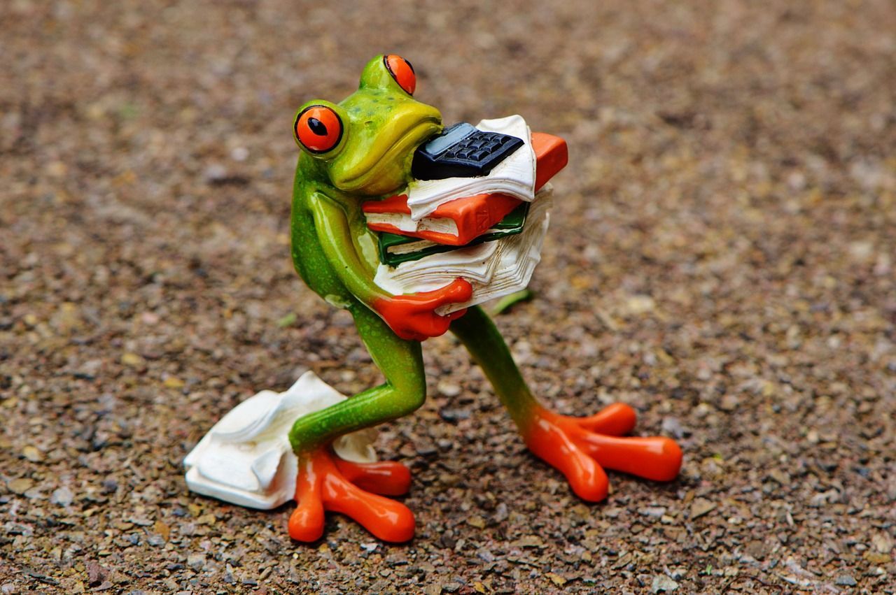 Frog.jpg