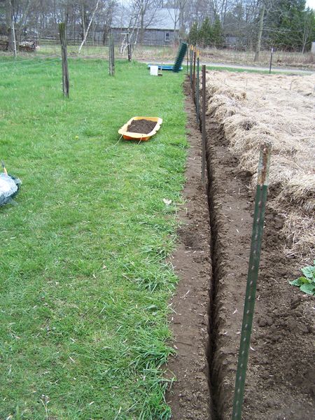 Big garden - fence trench2 crop April 2018.jpg