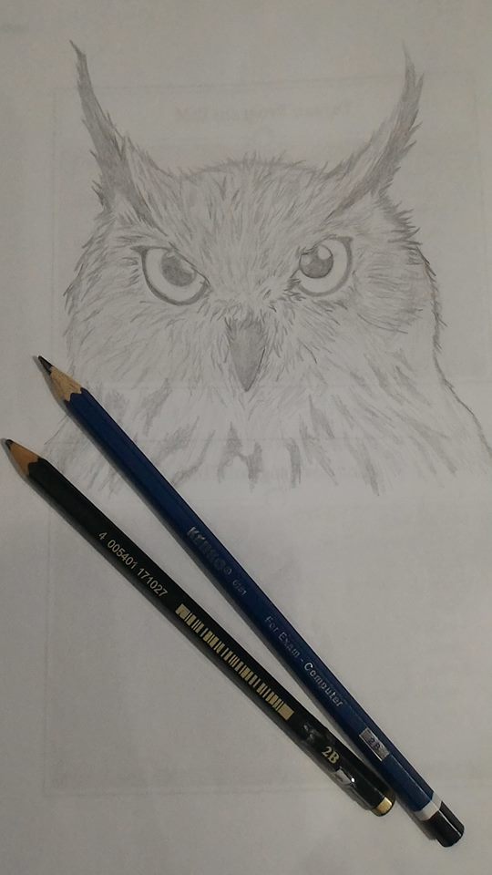 my sketch.jpg