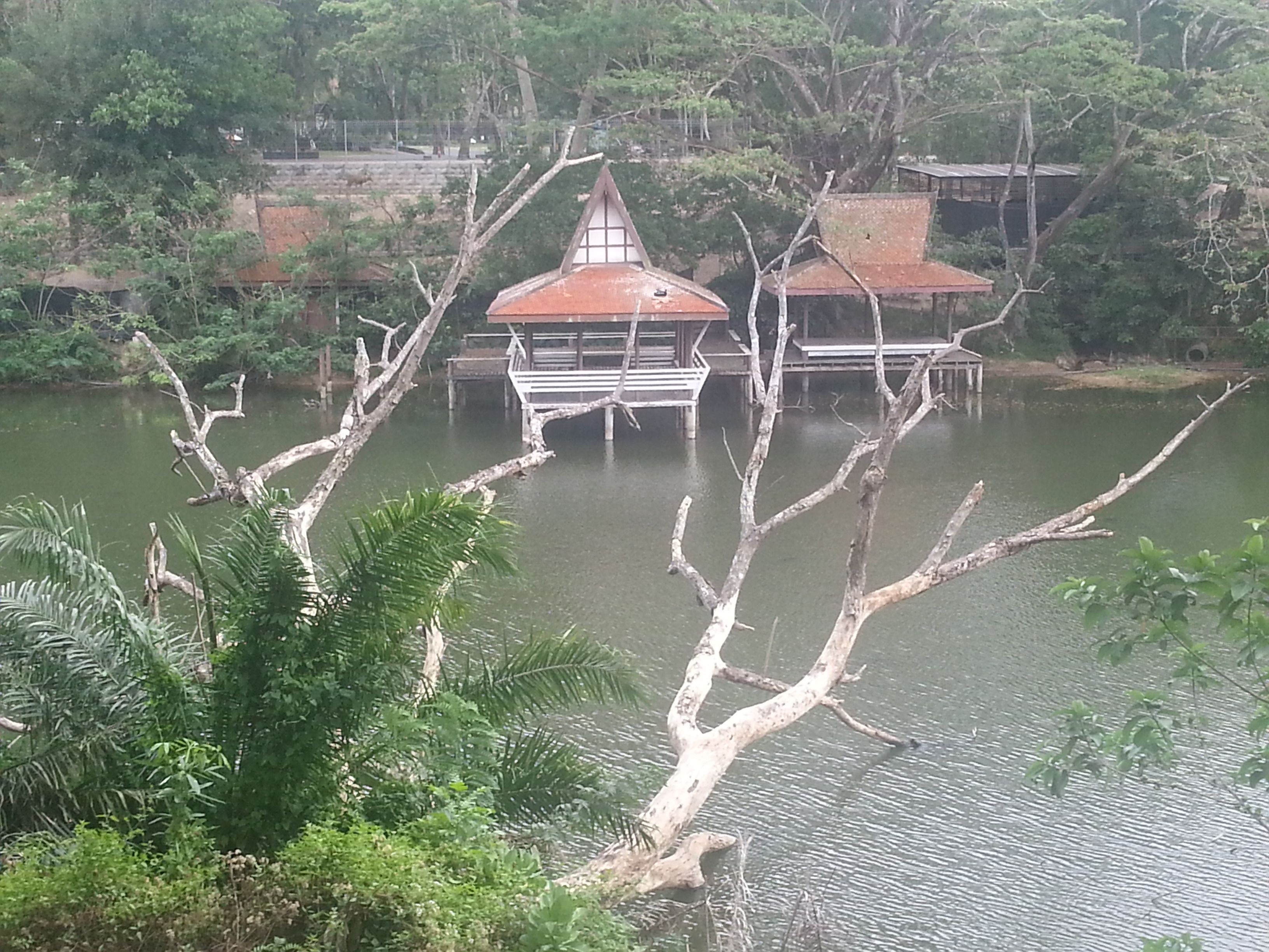 Khao Kheow Open Zoo38.jpg
