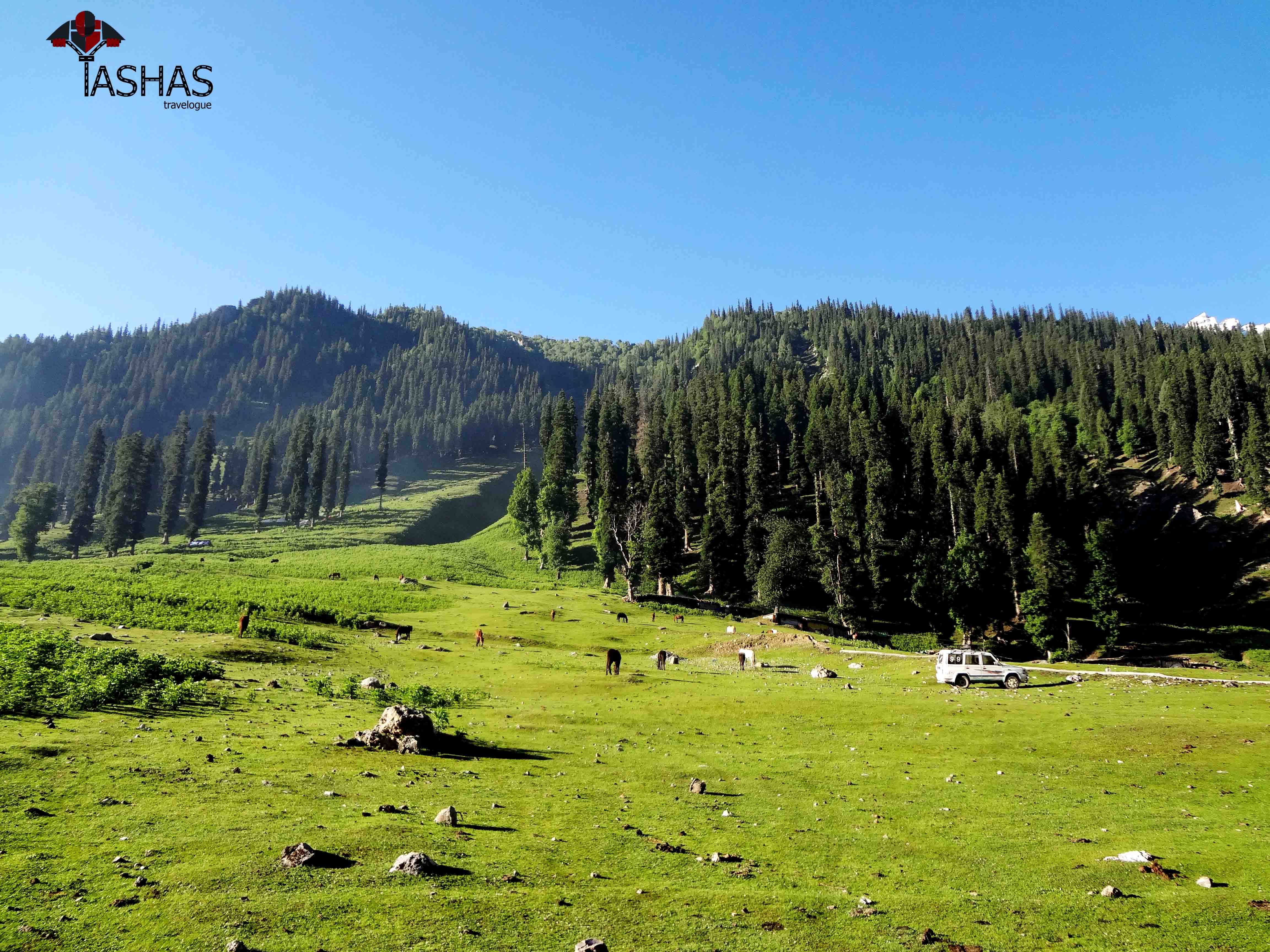 Sonmarg Morning View1.jpg