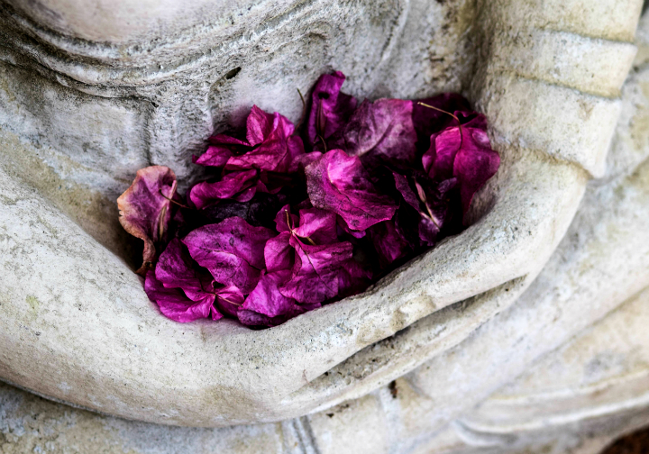 Lotus Petal Statue_720.jpg
