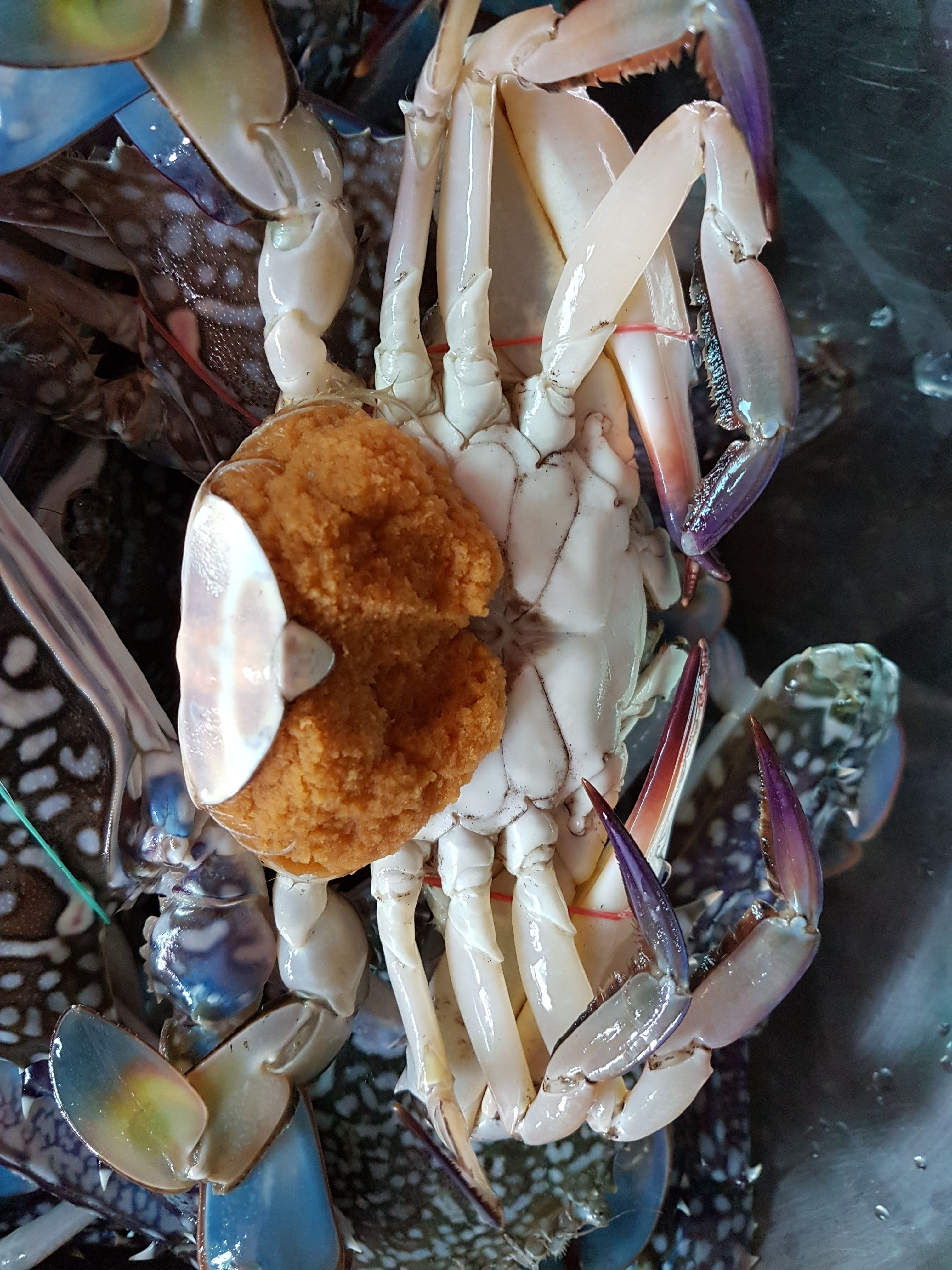 20171109_103055.jpg
