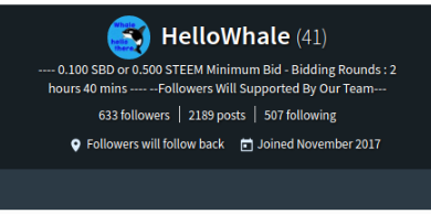 hellowhale 2.png