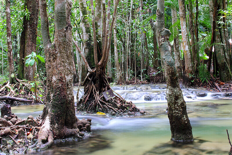 Emerald-Pool-1.JPG