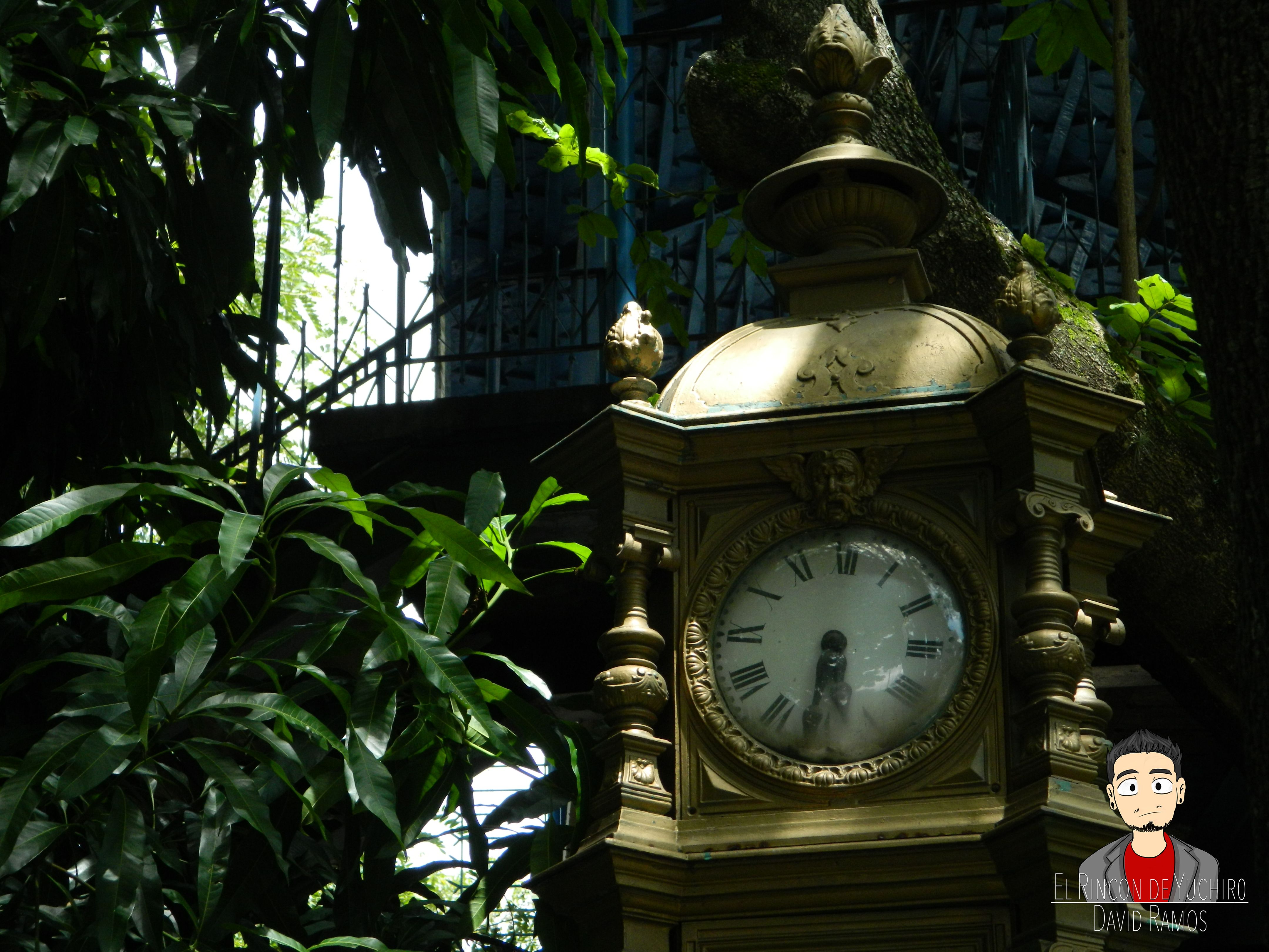 DSCN0818.jpg