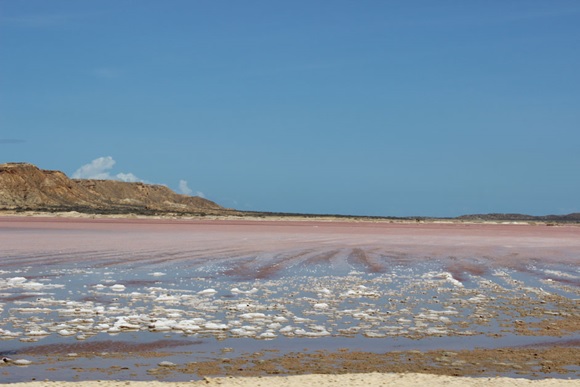 Laguna madre.jpg