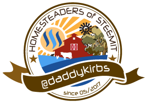 Steemit-Homesteaders-daddykirbs-small.png