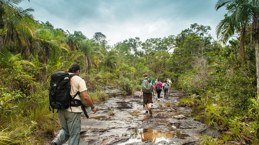 vacuna-fiebre-amarilla-cano-cristales.jpg