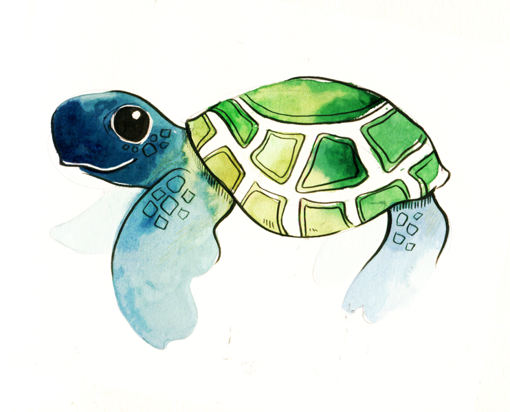 180121_turtle.png
