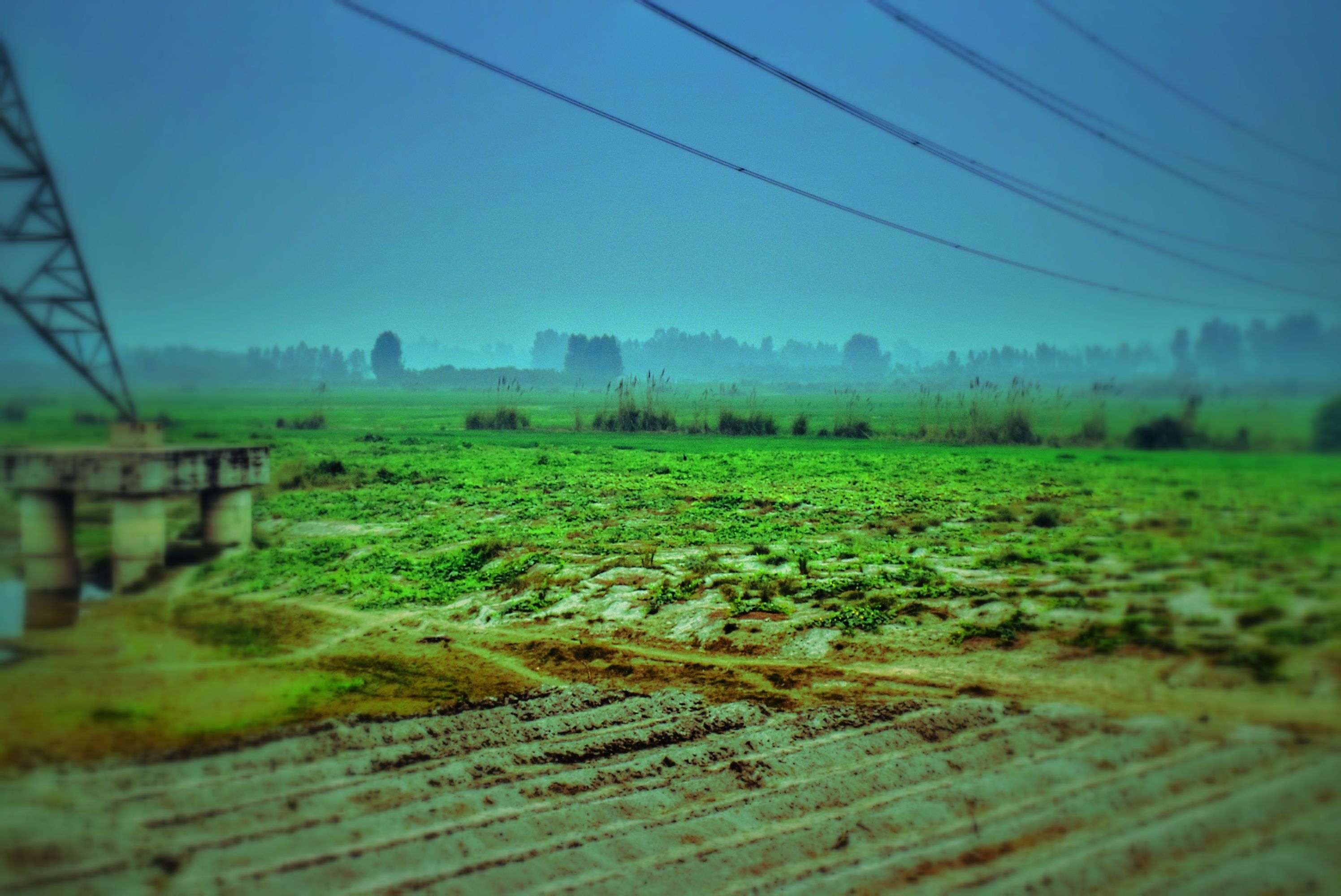 DSC_3161_2-03.jpeg