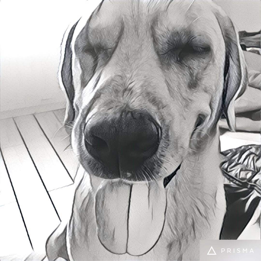 2016-07-25 12.03.49.jpg