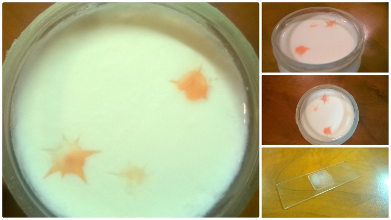 yogurt.jpg
